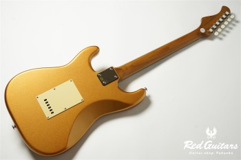 BST-2-KI-RSM/R-CTM GD
